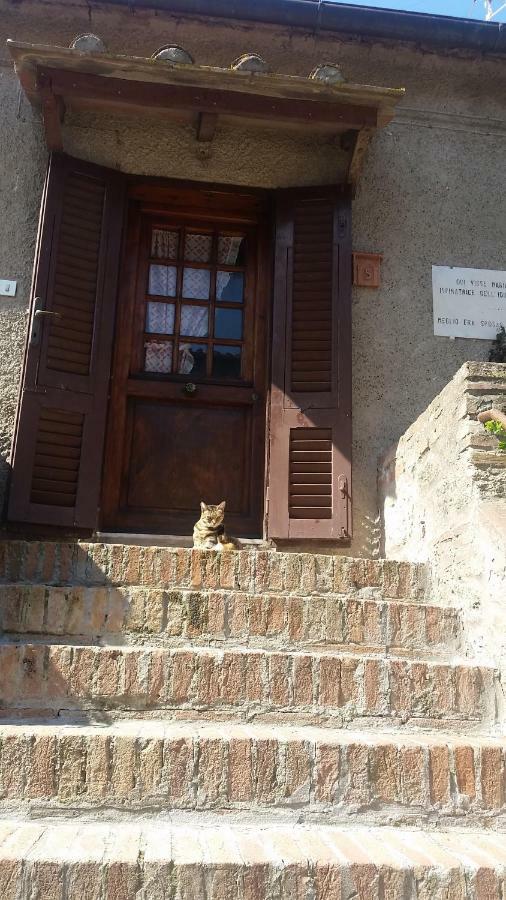 Ferienwohnung Torre Rossa Bolgheri Exterior foto